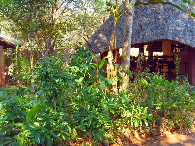 Mosi-Ua-Tunya Lodge Victoria Falls Esterno foto